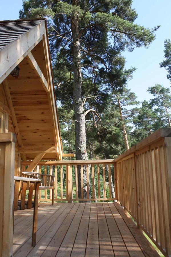 Domaine Du Chambon Resort Murol